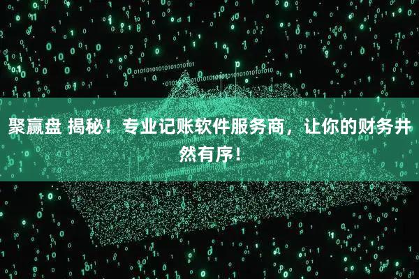 聚赢盘 揭秘！专业记账软件服务商，让你的财务井然有序！
