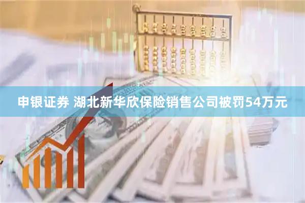 申银证券 湖北新华欣保险销售公司被罚54万元