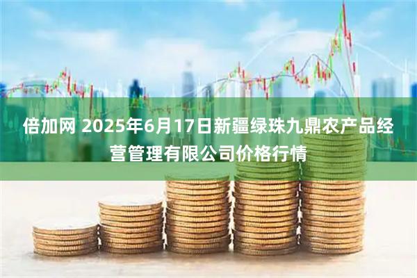 倍加网 2025年6月17日新疆绿珠九鼎农产品经营管理有限公司价格行情