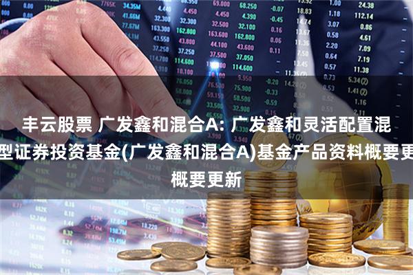 丰云股票 广发鑫和混合A: 广发鑫和灵活配置混合型证券投资基金(广发鑫和混合A)基金产品资料概要更新