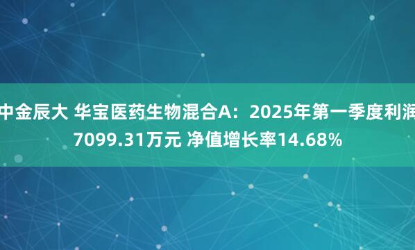 中金辰大 华宝医药生物混合A：2025年第一季度利润7099.31万元 净值增长率14.68%