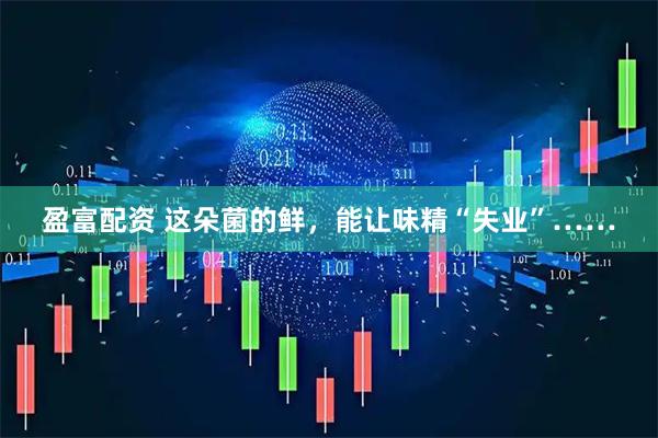 盈富配资 这朵菌的鲜，能让味精“失业”……